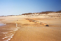 Rotating Beach Pictures 